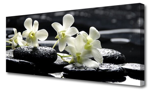Tablou pe panza canvas Pietre florale flori alb negru