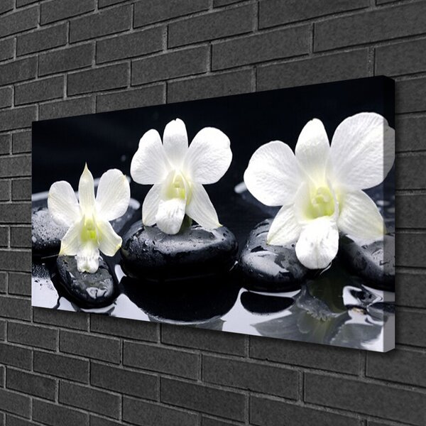 Tablou pe panza canvas Pietre florale flori alb negru