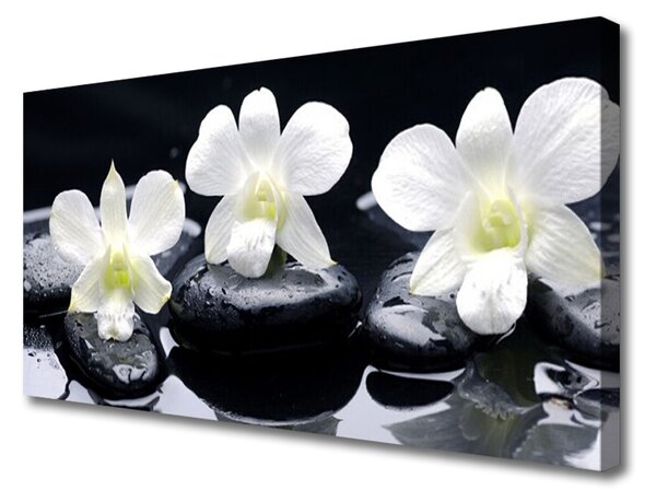 Tablou pe panza canvas Pietre florale flori alb negru