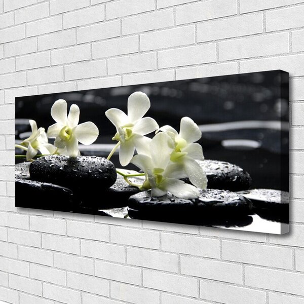 Tablou pe panza canvas Pietre florale flori alb negru