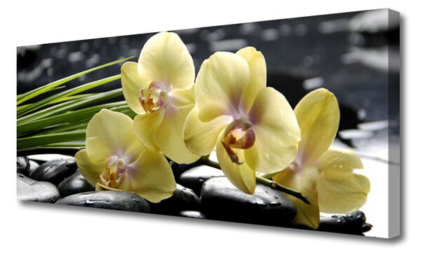 Tablou pe panza canvas Flori Floral Galben