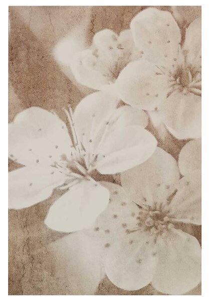 Faianta decor Mefasto Brown Inserto Flower, 25 x 40