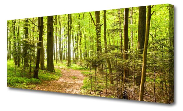 Tablou pe panza canvas Natural Pădurea Verde Maro