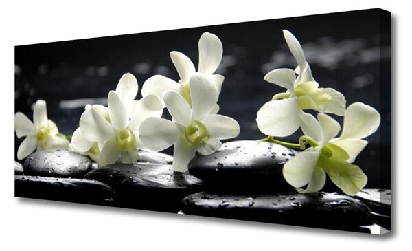 Tablou pe panza canvas Pietre florale flori alb negru