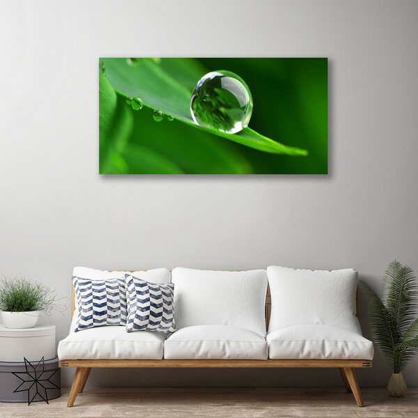 Tablou pe panza canvas Frunze de apă Picături Floral Verde