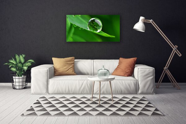 Tablou pe panza canvas Frunze de apă Picături Floral Verde