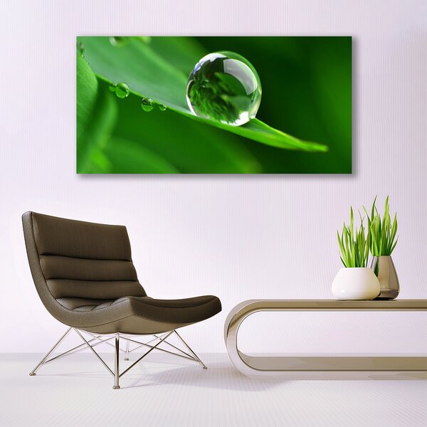 Tablou pe panza canvas Frunze de apă Picături Floral Verde