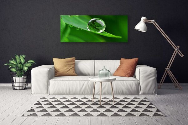 Tablou pe panza canvas Frunze de apă Picături Floral Verde