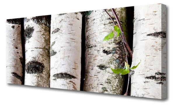 Tablou pe panza canvas Copaci Natura Alb Negru