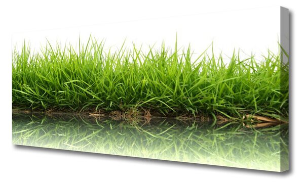 Tablou pe panza canvas Weed Natura verde