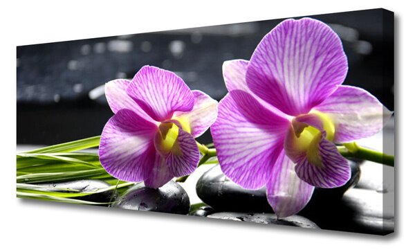 Tablou pe panza canvas Flori roz Floral