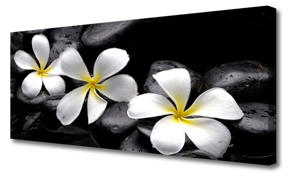 Tablou pe panza canvas Pietre florale flori alb negru
