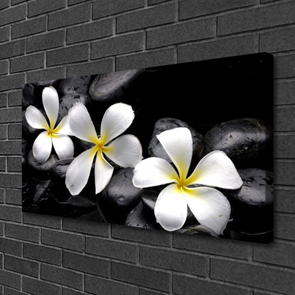 Tablou pe panza canvas Pietre florale flori alb negru