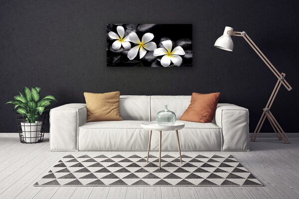 Tablou pe panza canvas Pietre florale flori alb negru