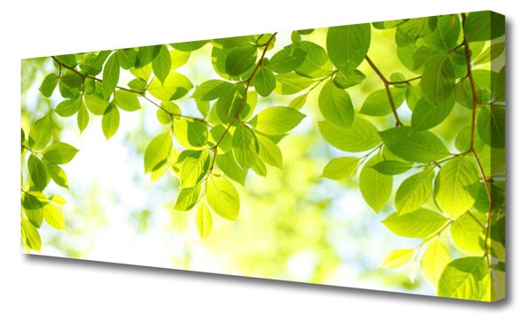 Tablou pe panza canvas Frunze Natura verde