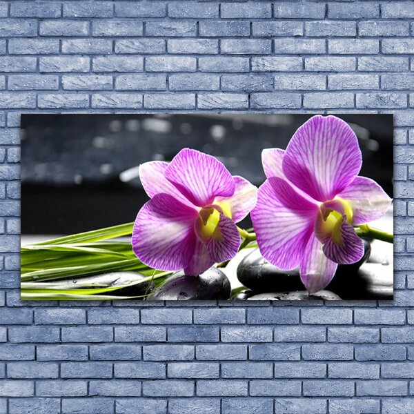 Tablou pe panza canvas Flori roz Floral