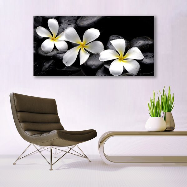 Tablou pe sticla Pietre florale flori alb negru