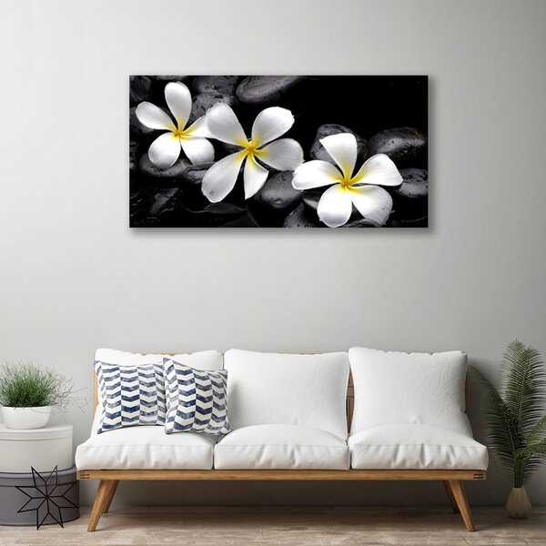 Tablou pe panza canvas Pietre florale flori alb negru