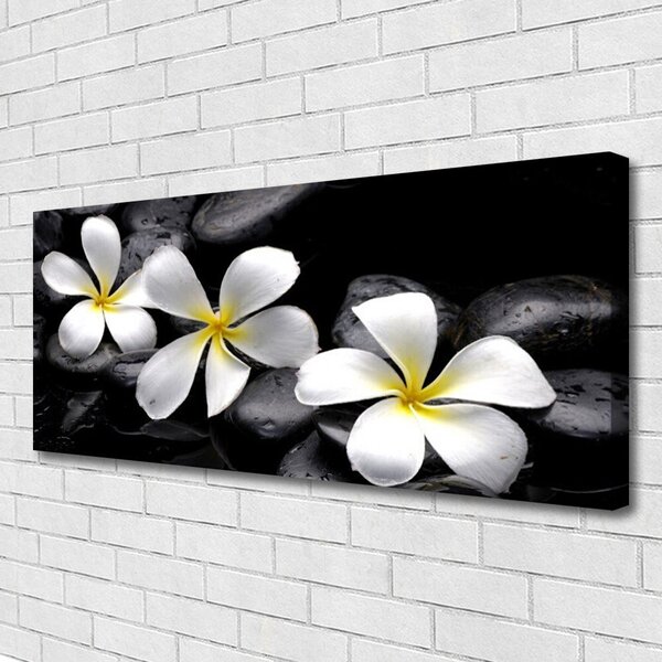 Tablou pe panza canvas Pietre florale flori alb negru