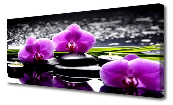 Tablou pe panza canvas Pietrele florale flori roz negru