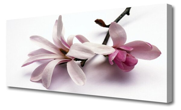 Tablou pe panza canvas Flori Floral alb
