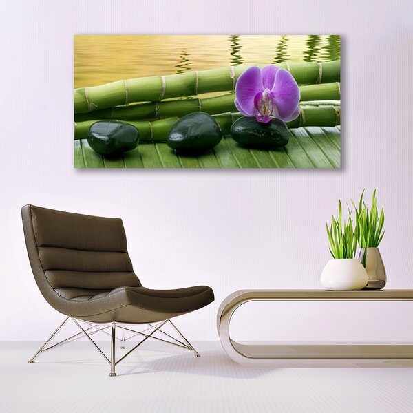 Tablou pe panza canvas Floare pietre de bambus Tulpini Floral Roz Negru Verde