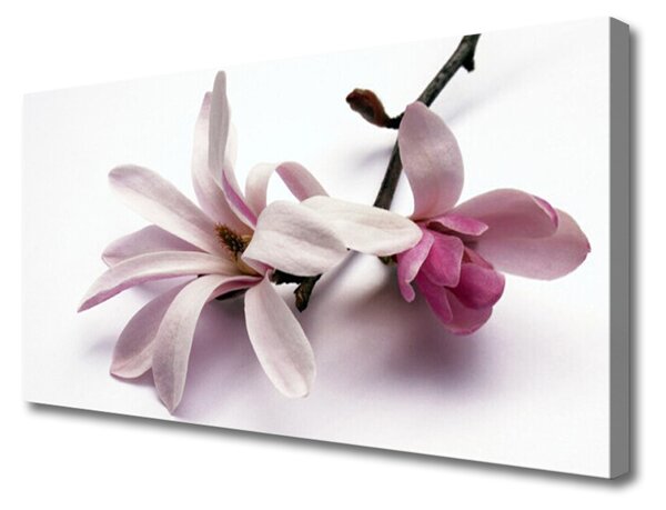 Tablou pe panza canvas Flori Floral alb