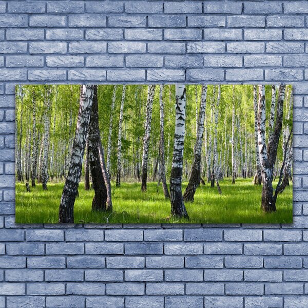 Tablou pe panza canvas Natural Pădurea Neagră Alb Verde