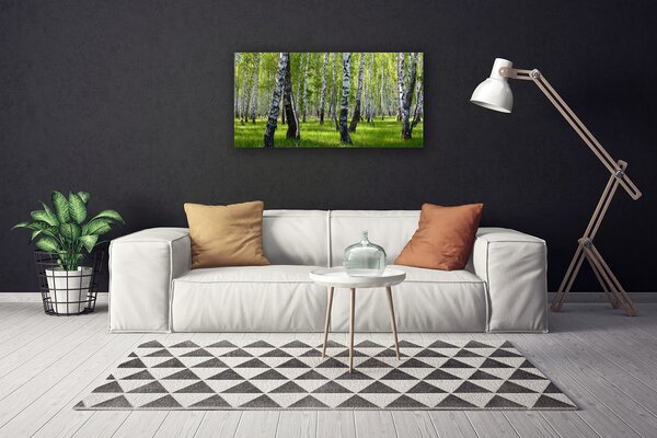 Tablou pe panza canvas Natural Pădurea Neagră Alb Verde