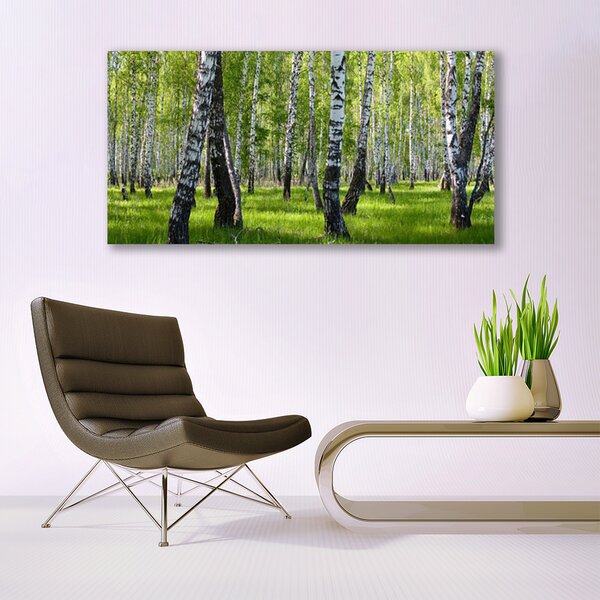 Tablou pe panza canvas Natural Pădurea Neagră Alb Verde