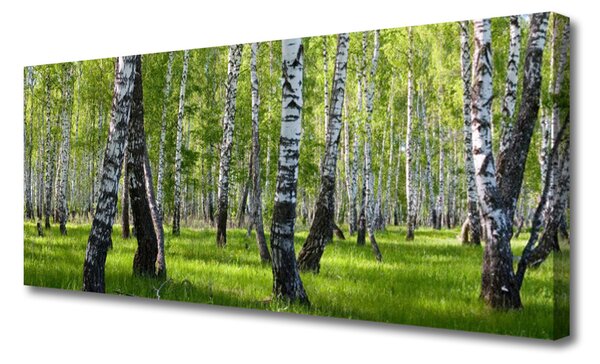 Tablou pe panza canvas Natural Pădurea Neagră Alb Verde