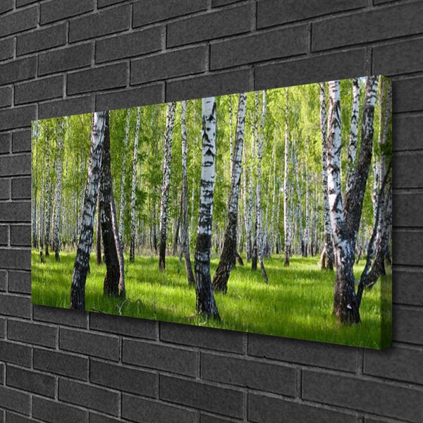 Tablou pe panza canvas Natural Pădurea Neagră Alb Verde