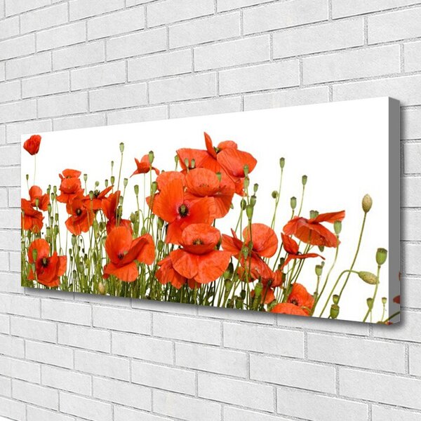 Tablou pe panza canvas Maci Floral Red