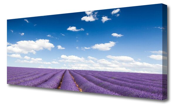 Tablou pe panza canvas Flori Meadow Natura Purple