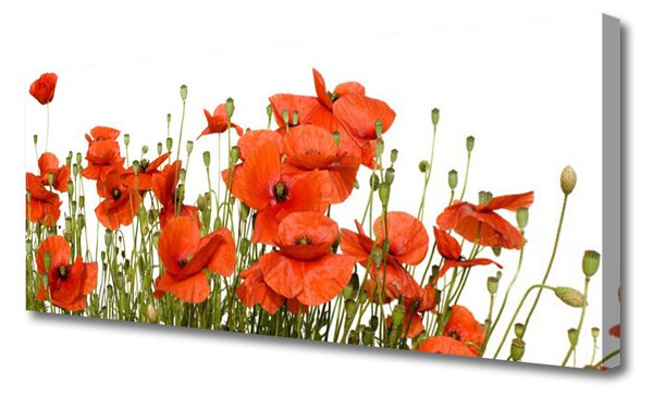 Tablou pe panza canvas Maci Floral Red