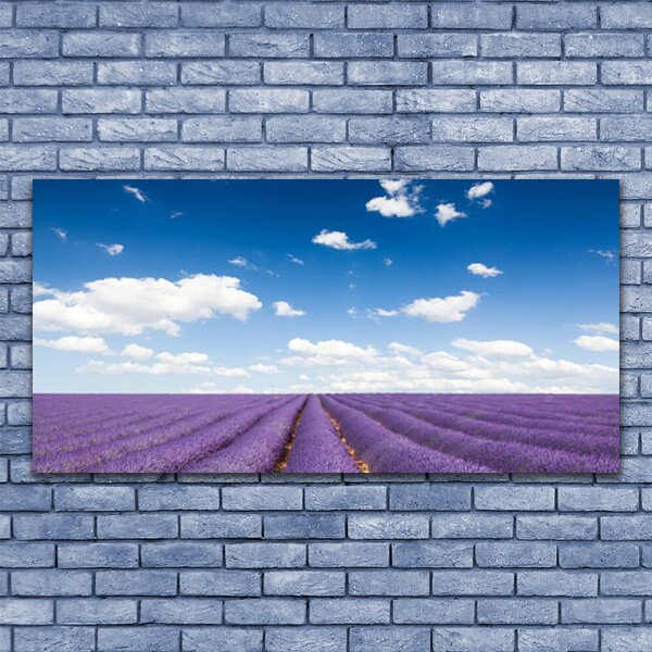 Tablou pe sticla Flori Meadow Natura Purple