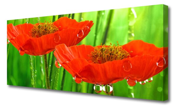 Tablou pe panza canvas Maci Floral Roșu Verde