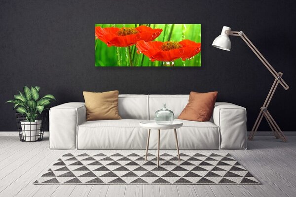 Tablou pe panza canvas Maci Floral Roșu Verde