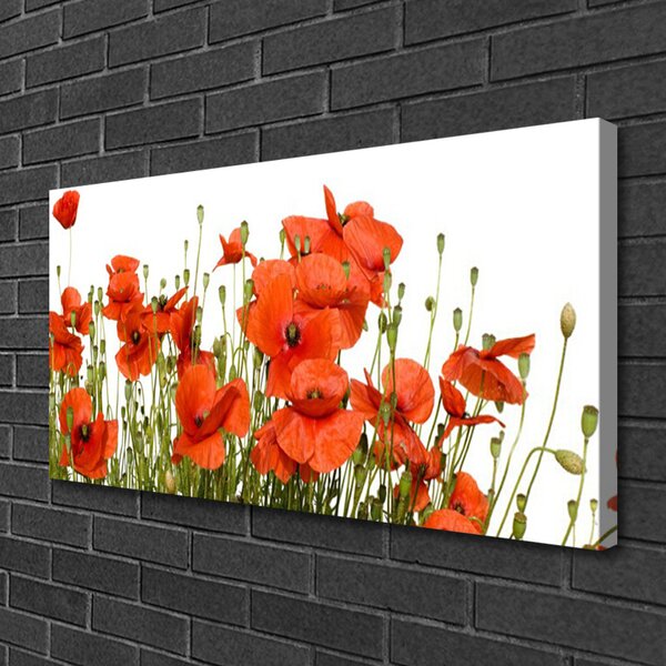Tablou pe panza canvas Maci Floral Red