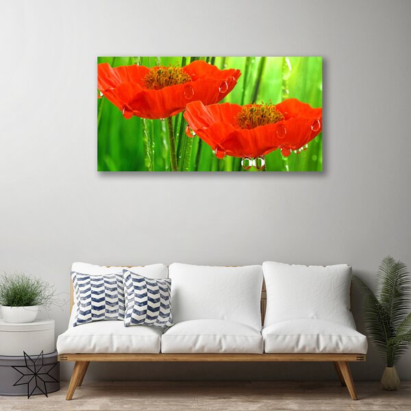Tablou pe panza canvas Maci Floral Roșu Verde