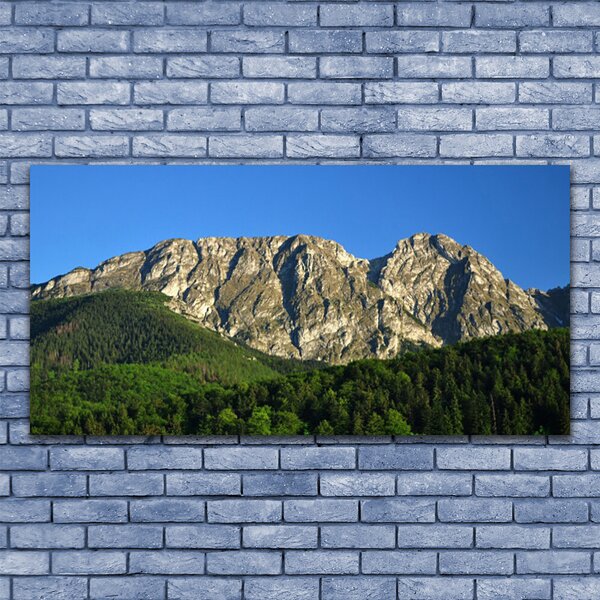 Tablou pe sticla Mountain Natural Pădurea Verde Gri