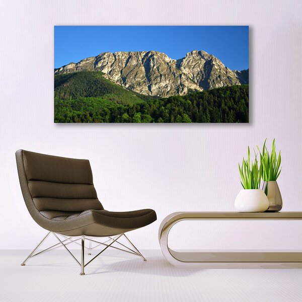 Tablou pe sticla Mountain Natural Pădurea Verde Gri