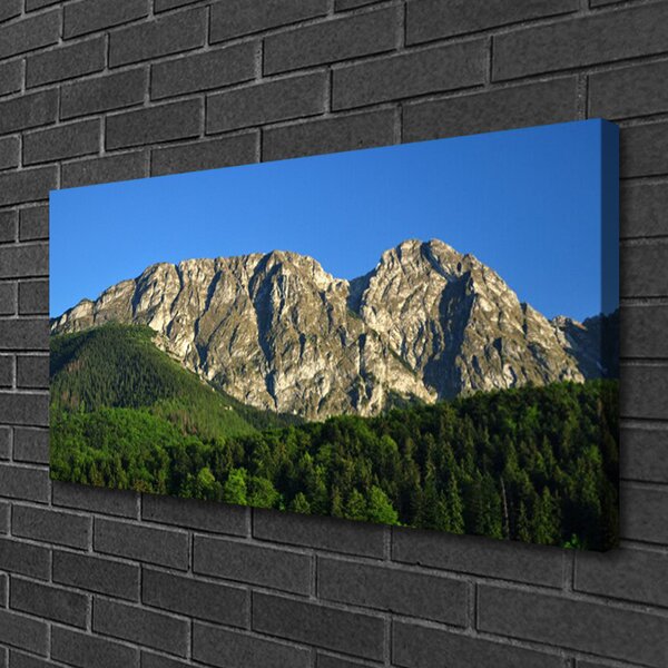 Tablou pe panza canvas Mountain Natural Pădurea Verde Gri