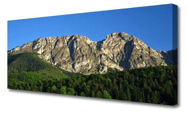 Tablou pe panza canvas Mountain Natural Pădurea Verde Gri