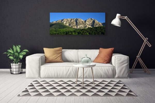 Tablou pe panza canvas Mountain Natural Pădurea Verde Gri