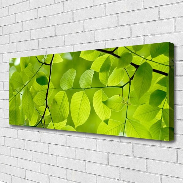Tablou pe panza canvas Frunze Natura verde