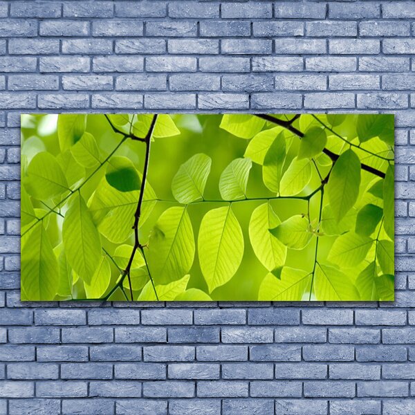 Tablou pe panza canvas Frunze Natura verde