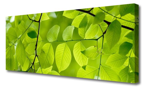 Tablou pe panza canvas Frunze Natura verde