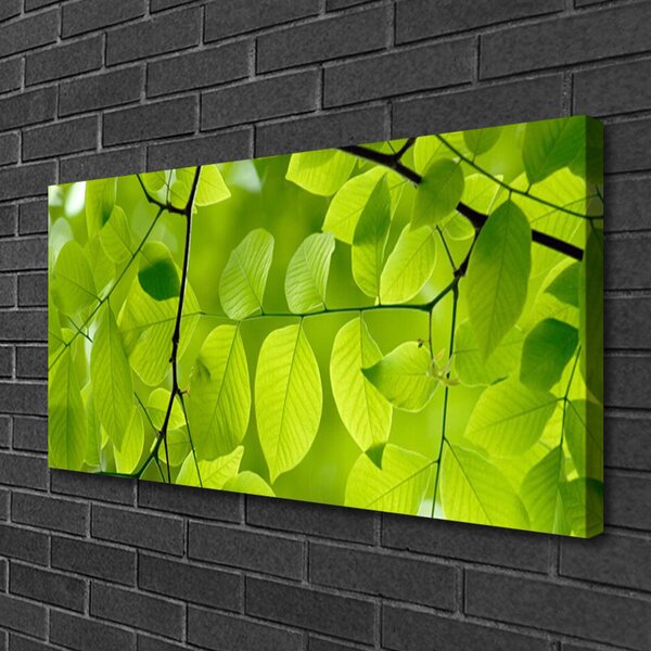 Tablou pe panza canvas Frunze Natura verde