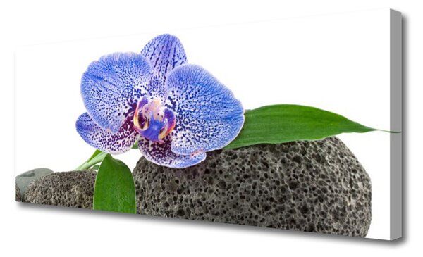 Tablou pe panza canvas Flower Floral Purple Verde